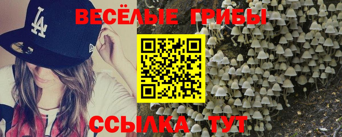 Псилоцибиновые грибы GOLDEN TEACHER Знаменск